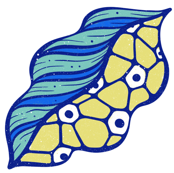 Superhuman Body Collection — I Am A Scientist